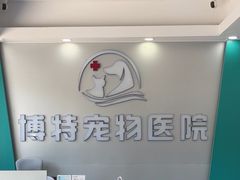 -博特宠物医院24h犬猫全科.骨科·异宠