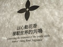 -茉莉奶白(天水秦州万达广场店)