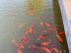 -威海华夏城景区