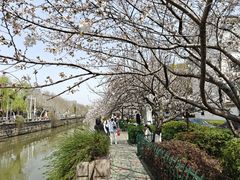 -常熟方塔园