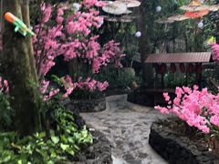 -海口观澜湖火山温泉谷