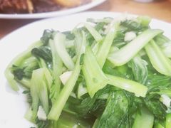 香菇菜-牧疆情新疆餐饮