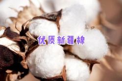 -红领RED COLLAR西装定制体验中心