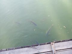 iphone_upload_pic-北京民族园葉子里酒店(鸟巢店)