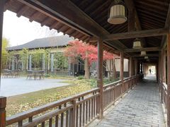 -东园小馆·早茶·淮扬小炒(宋夹城店)