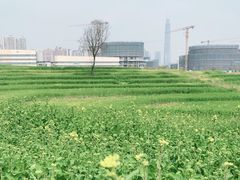 -三圣花乡旅游区