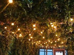 -顶层酒吧ROOF(上海艾迪逊酒店)