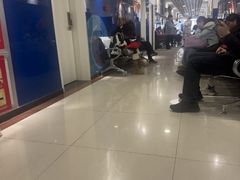 -陕西省小天鹅艺术团