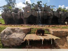 -海南热带野生动植物园