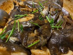 砂锅碟鱼头-隆喜元鱼汤包·海鲜(中联广场店)