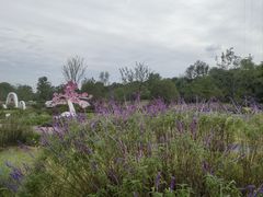 -佛手湖郊野公园