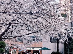 -玛格萝妮比萨屋(四平店)