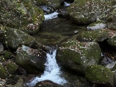 -牛背梁国家森林公园