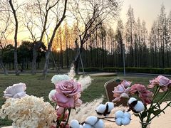 -成都保利公园皇冠假日酒店(熊猫基地店)