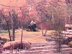 -济南野生动物世界