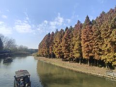 -溱湖国家湿地公园