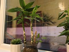 -宾朋海鲜美食餐厅·特色美食(兴海路店)