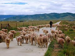 -青海湖国家重点风景名胜区