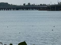 -丁香湖公园