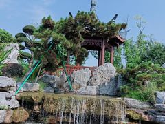 -东莞植物园