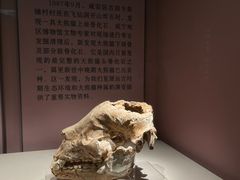 -咸宁市博物馆