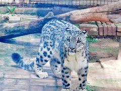 -青藏高原野生动物园