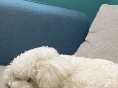 -默迹咖啡馆