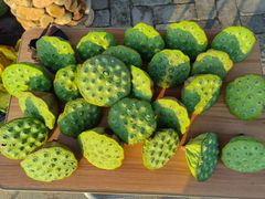 -梅州天地人花园酒店(梅县人民广场店)