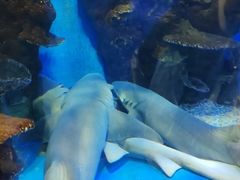 -石林冰雪海洋世界