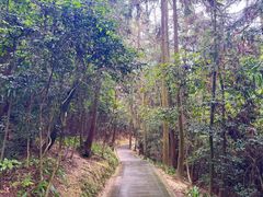 -窦圌山风景区