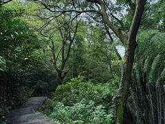 -敬亭山风景名胜区