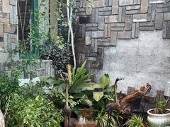 -慢丽江·云南野生菌土鸡锅(付家庄店)