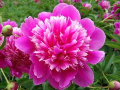 -长春公园(普阳街道)