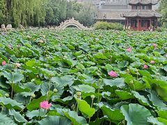 -莲池书院博物馆