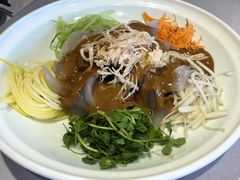 七彩鸡丝大拉皮-京味斋·北京烤鸭(华威桥北工大店)