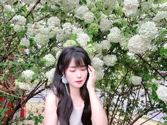 -大龙山(地铁站)