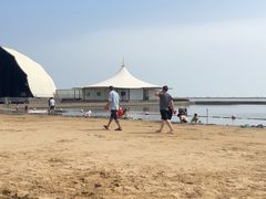 -碧海金沙