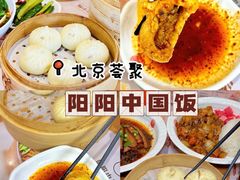 -阳阳中国饭(北京荟聚店)
