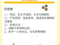 -猫猫幼稚园·撸猫·桌游·电玩