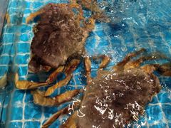 -园丁阁酒店(清流水韵店)