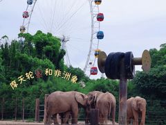 -上海野生动物园