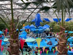 -南宫五洲植物乐园