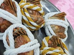 -大湾区中央湿地公园