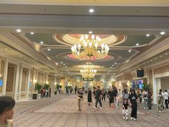 -澳门威尼斯人综合度假区