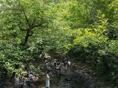 -石台牯牛降景区