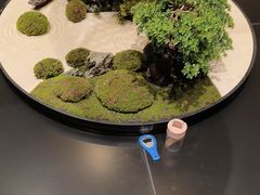 -阿露佳·舌尖上的安吉菜