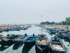 -悦海公园