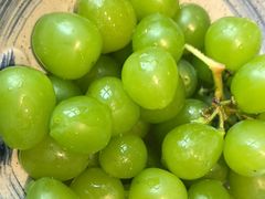 -百一大地锅(香福路店)