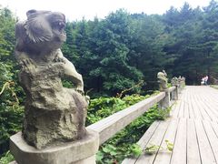 -四明山国家森林公园