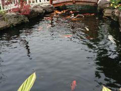 -聚福宝合苑食府(南头镇店)